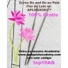 Do and Do en Palé: Lotus Flower with APLIQUICK®™