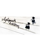 Class Apliquick Academy